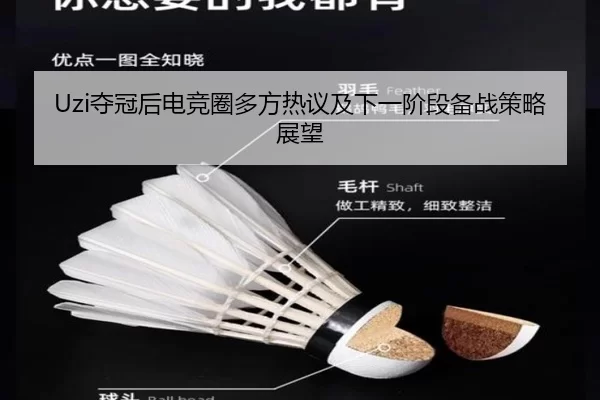 Uzi夺冠后电竞圈多方热议及下一阶段备战策略展望
